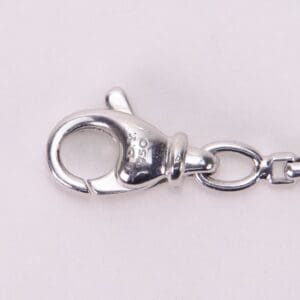 Silver lobster clasp on a white background.