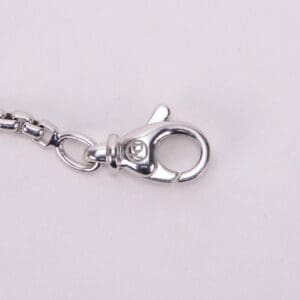 Silver lobster clasp on chain necklace.