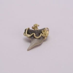 Gold-trimmed shark tooth jewelry piece.