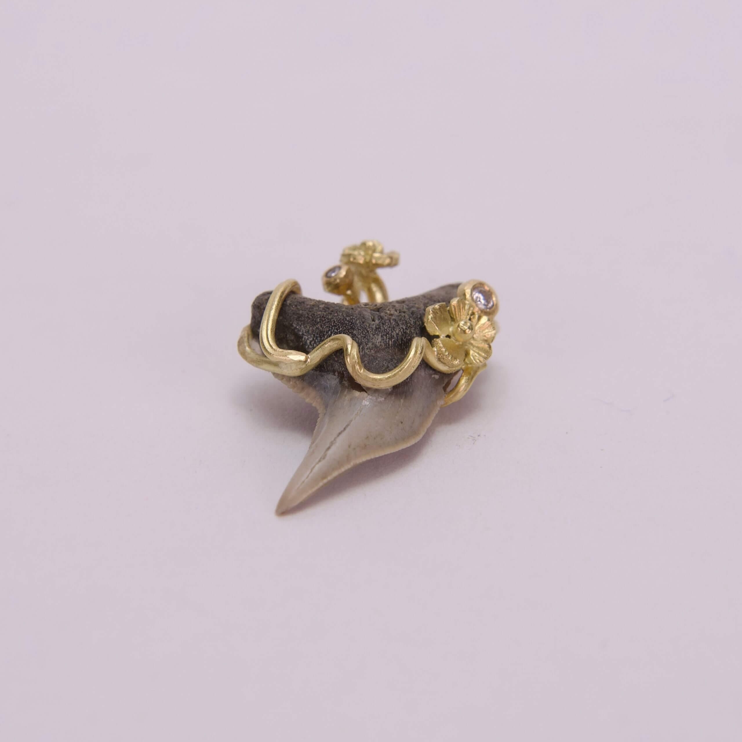 Gold-trimmed shark tooth jewelry piece.