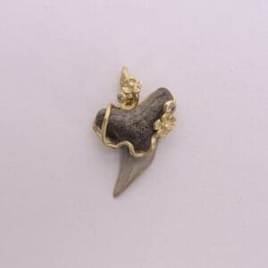 Fossil tooth pendant with gold accents.