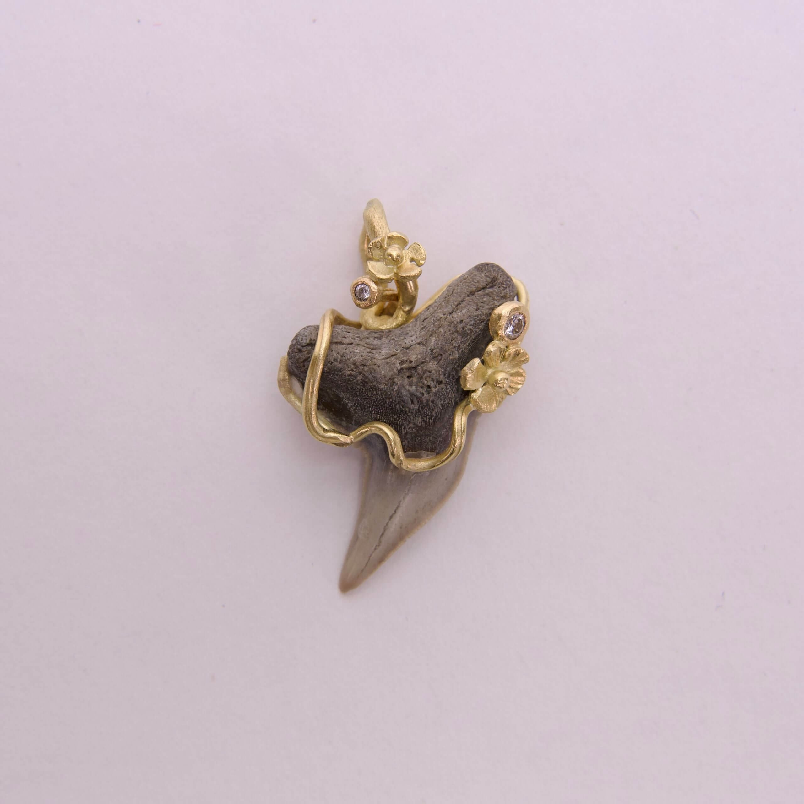 Fossil tooth pendant with gold accents.