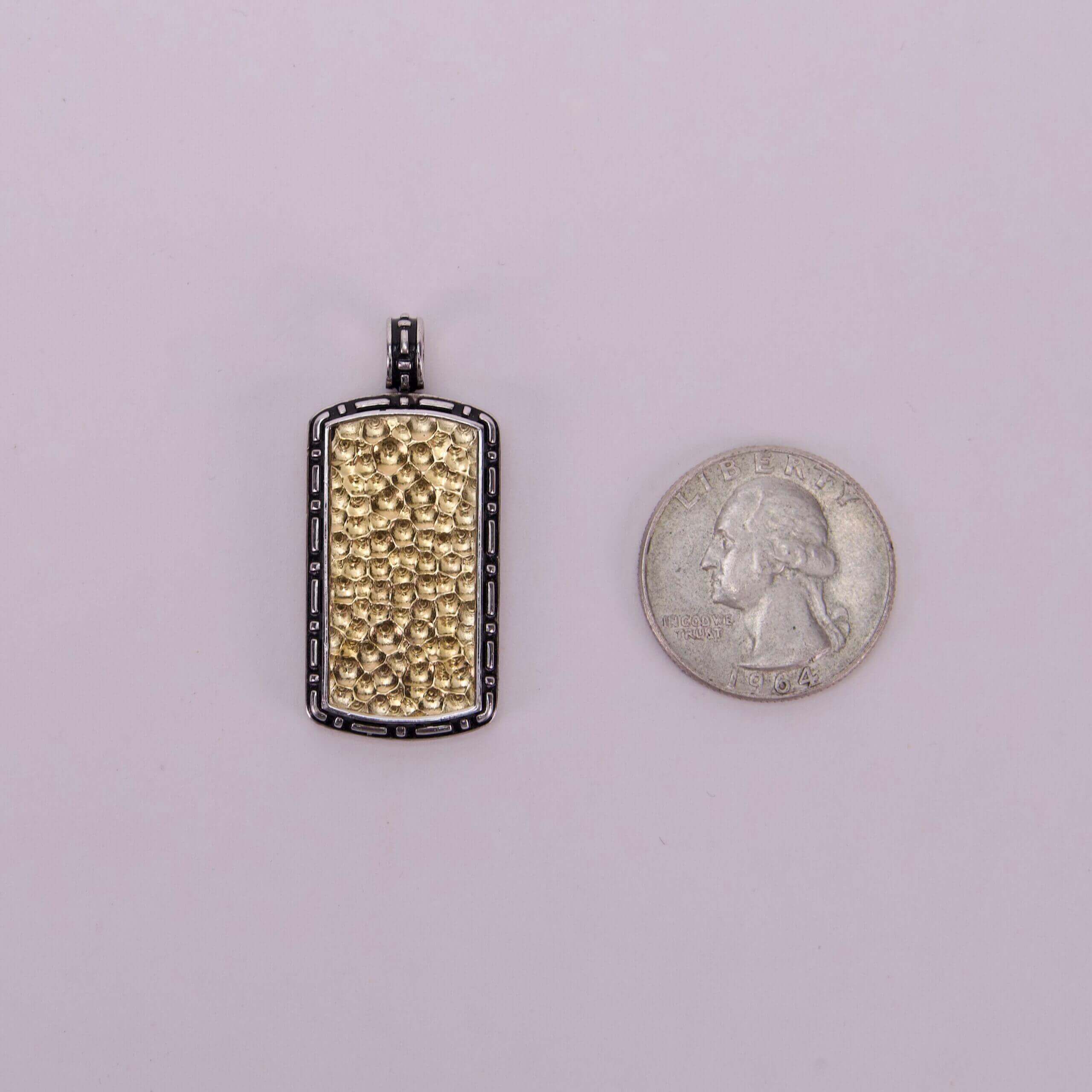 Gold pendant and coin on white background.
