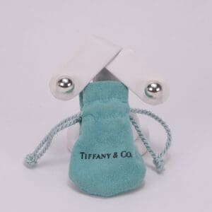 Tiffany & Co. pouch with white box.