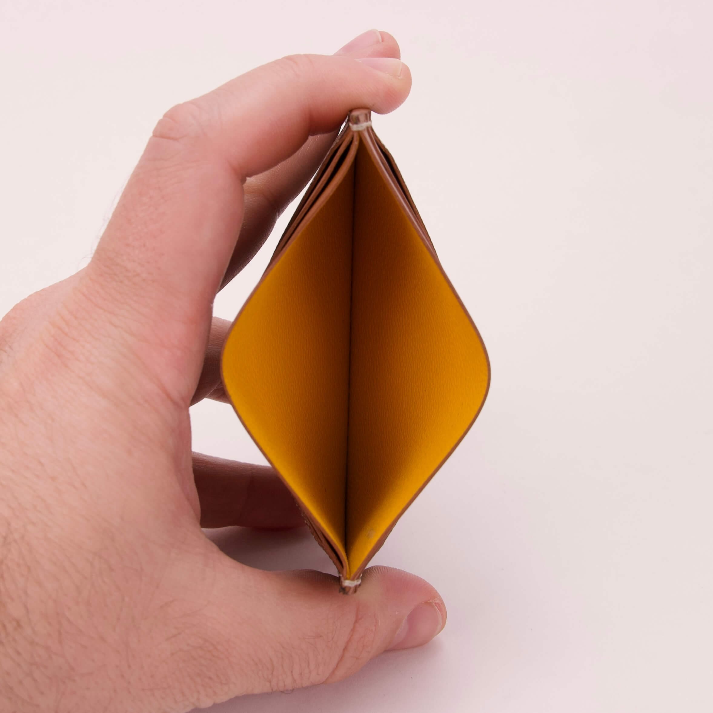 Hand holding open, empty wallet.
