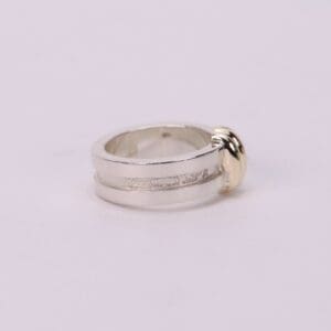 Silver ring with gold accent detail.