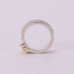 Silver ring with gold accent detail.