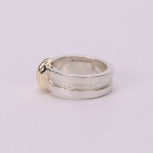 Silver ring with gold accent on side.