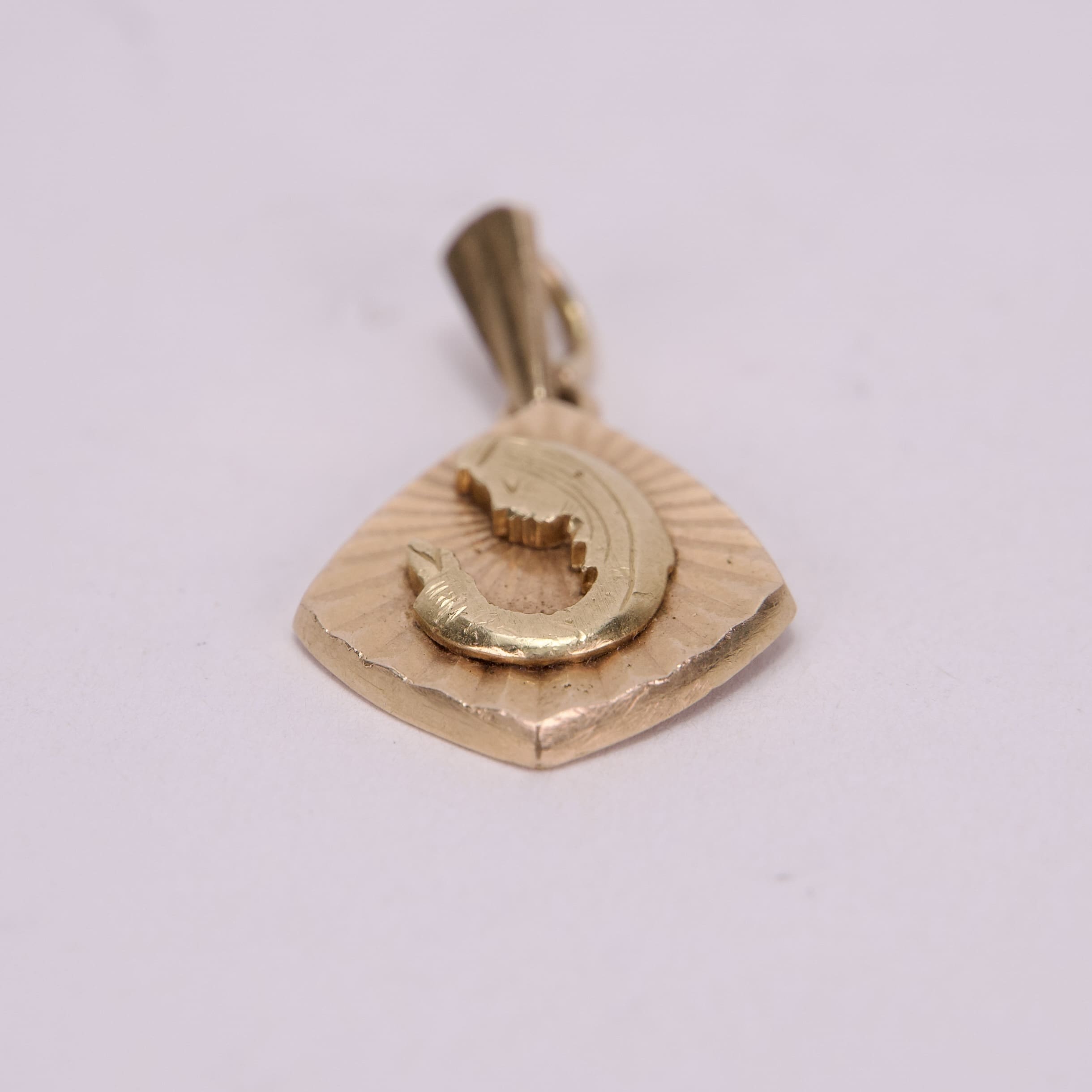 Gold pendant with a fish design.