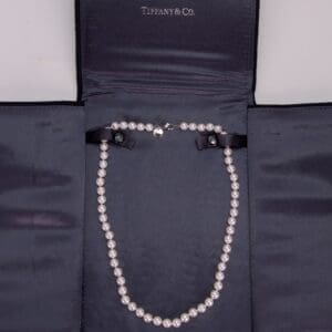 Pearl necklace in an elegant jewelry case.