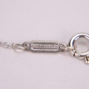 Silver chain with engraved tag and clasp.