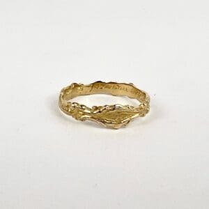 Gold textured ring on white background.