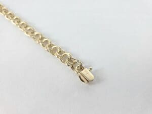 Gold chain bracelet with clasp on white.