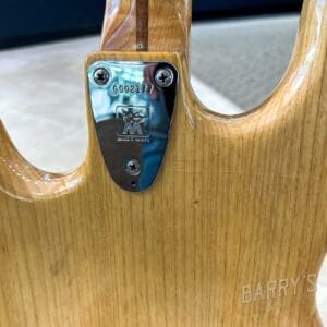 Wooden guitar neck with metal plate detail.
