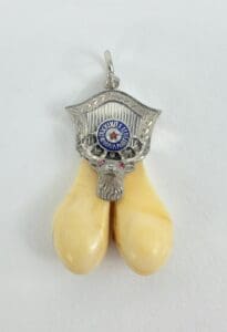 Pendant with tusks and ornate silver design.