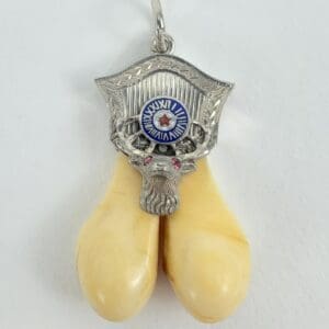 Pendant with tusks and ornate silver design.