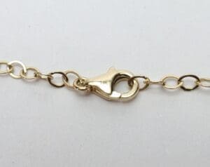 Gold chain with lobster clasp.