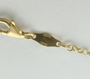 Gold chain with lobster clasp and tags.