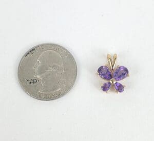 Quarter next to purple butterfly pendant.
