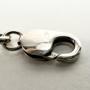 Silver lobster clasp on white background.