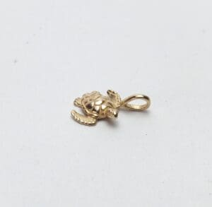 Gold turtle pendant on white background.