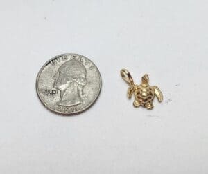 Turtle charm beside a quarter coin.