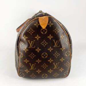 Brown patterned luxury handbag with leather accents.
