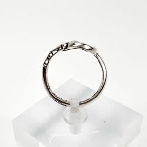 Silver ring on clear display stand.