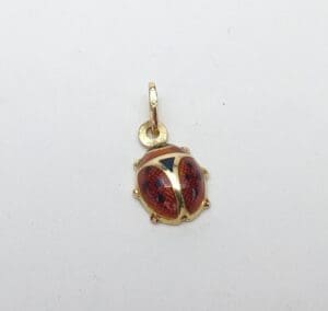 Gold and red ladybug pendant on white.