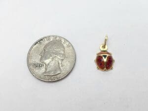Quarter beside a small ladybug pendant.