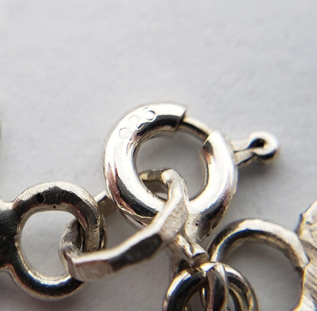 Close-up of a silver chain clasp.