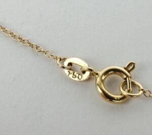 Gold chain with a spring ring clasp.