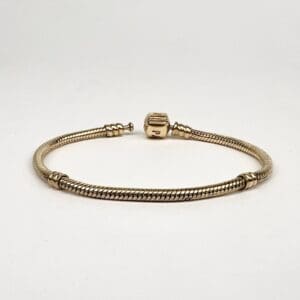Gold bracelet with clasp on white background.