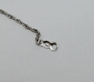 Silver chain with a clasp on end.