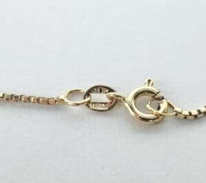 Gold chain with a lobster clasp.