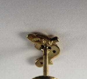 Gold screw on a white surface.
