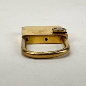 Golden padlock lying on a surface.