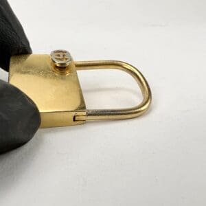 Gold padlock held by gloved hand.
