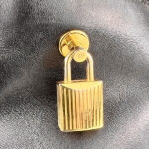 Gold padlock on black leather surface.